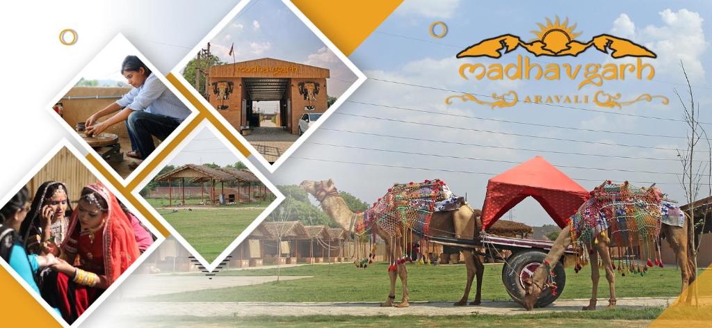 Exploring the Enchanting Landscape of Madhavgarh Farm: A Majestic Retreat